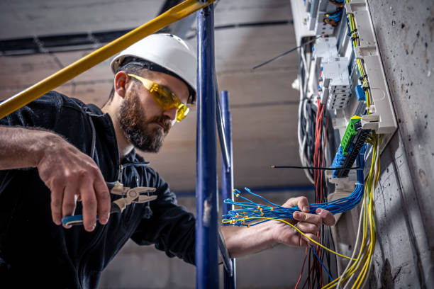 Best Local Electrician Companies  in Cactus, TX